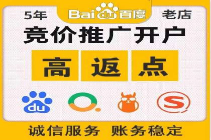案例分析：竞价推广实战中的困境与突破